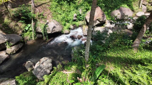 Aerial view of Pakerisan river flowing through Gunung Kawi valley in Bali, lush tropical jungle, mossy boulders, rushing water cascades, serene nature, peaceful environment, travel destination
