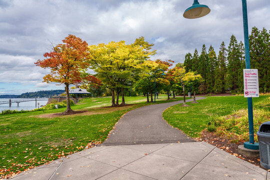 Renton Park Autumn Waslkway