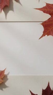Vertical video: Framing flatlay maple leaves on white panels, light jitter nudging shadows for text