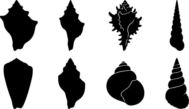 Collection of various black seashell silhouettes for summer, marine, and coastal design projects