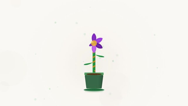 Premium flat vector donation animation. A gold coin falls and morphs mid-air into a seed, entering a small pot. A stem grows upward with a characteristic overshoot at the bloom point, carrying a gift