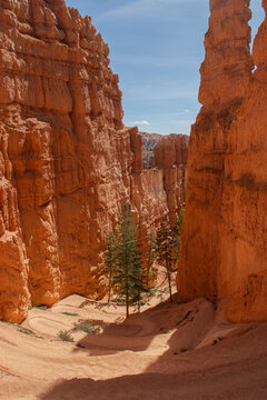 Navajo Loop Trail, Bryce Canyon National Park, Utah, USA