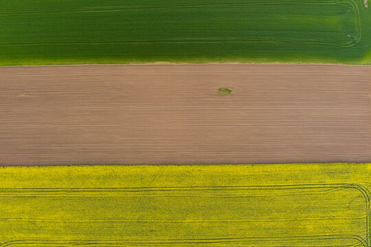 Aerial view of agricultural fields with contrasting green, brown, and yellow crops in Bulgaria.
