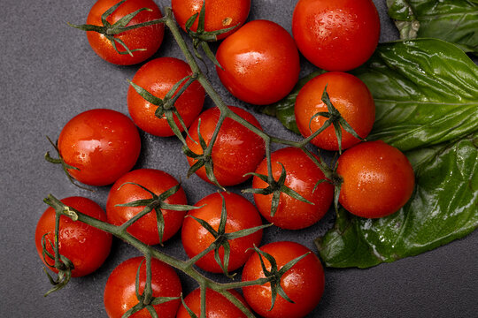 Overhead cherry tomatoes on the vine with basil and water droplets