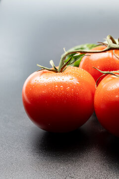 Red vine tomatoes with water droplets and copy space on gray