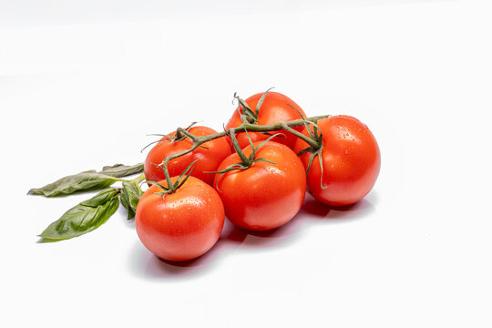 Vine tomatoes with basil and water droplets on white