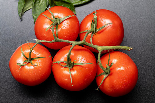 Overhead view of five vine tomatoes with water droplets on dark gray