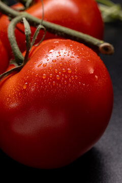 Macro of water droplets on a red vine tomato