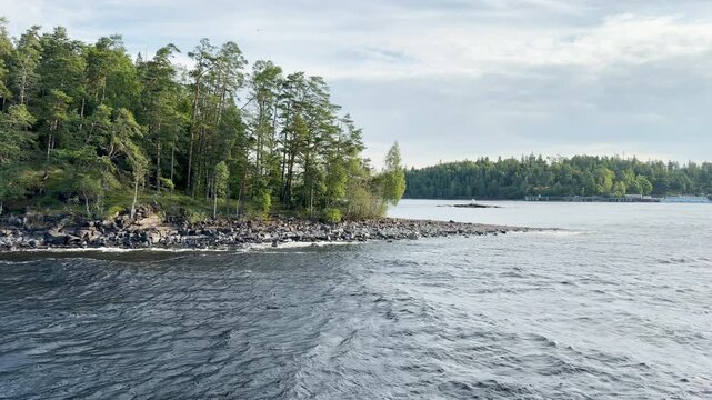Green pine trees line the rocky shore at Valaam on Lake Ladoga. Gentle waves ripple past the scenic island coast. The peaceful view brings calm wonder and quiet joy.