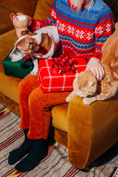 Woman with pets and Christmas gifts on a couch