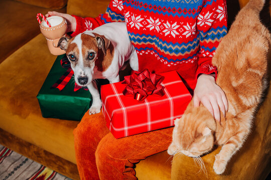 Woman with pets and Christmas gifts on couch