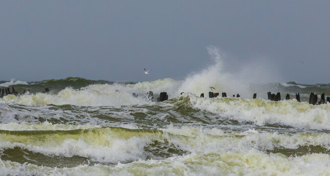 Heavy storm at the beach in Lithuania