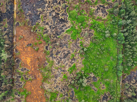 Aerial view of charred land from a forest fire contrasting with patches of green vegetation and a narrow water channel in Indonesia.