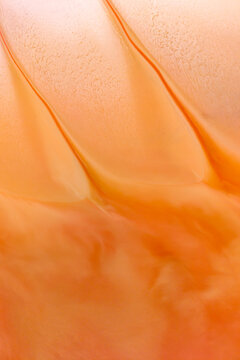 Abstract mineral pattern in Salar de Tara, Atacama Desert