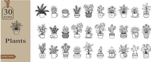 Fototapeta premium vector illustration of a set of A simple leaf, monstera, or cactus in a geometric pot. back and white line art vectors 