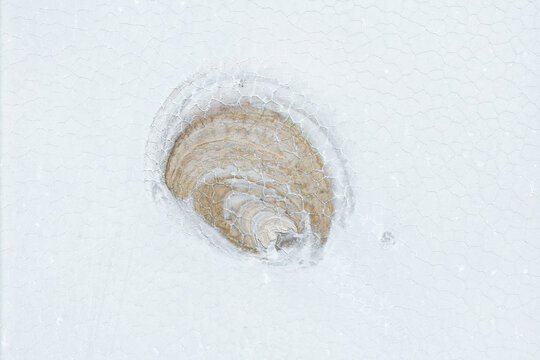 Aerial salt flat texture with natural saline pattern