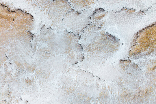 Salt flat texture with cracked saline mineral pattern