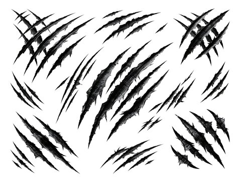 Animal claw scratches gouges claw marks set black silhouette graphic vector illustration isolated