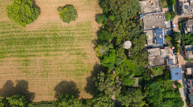 Lahore, Pakistan - 08 September 2026: Aerial view of a residential area featuring rooftops with solar panels, lush green trees, and an adjacent agricultural field.
