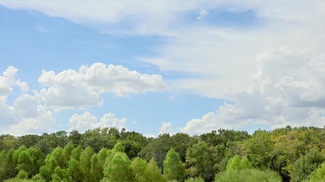 Native Texas forest beneath the vast eternal sky, framed by impressive white clouds that highlight the grandeur of the natural landscape.