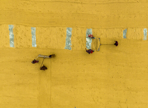 Ashuganj, Chittagong Division, Bangladesh - 05 July 2022: Aerial view of workers raking and drying harvested rice on a large yellow surface.