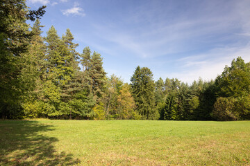 Green meadow surrounded by dense forest in Zlote Wierchy, Island Beskids, Poland © Ewa Bogucka