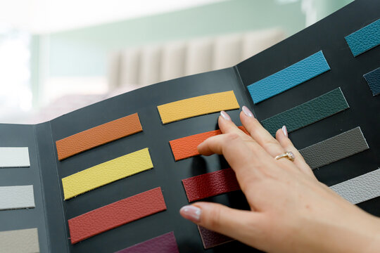Selecting upholstery color samples in furniture store