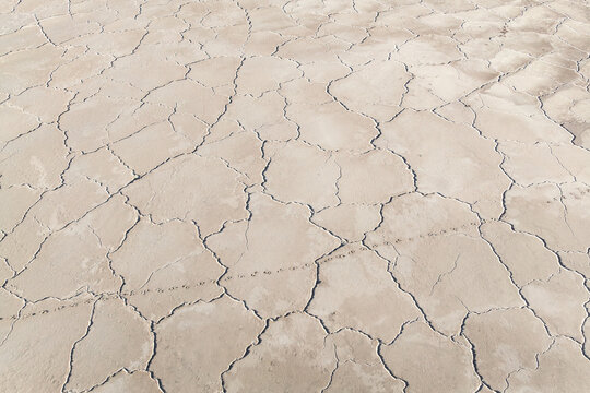 Cracked saline patterns at Laguna Espejo, Catamarca, Argentina