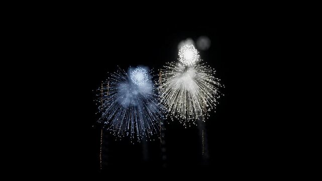 Federated States of Micronesia Flag Color Fireworks Centered