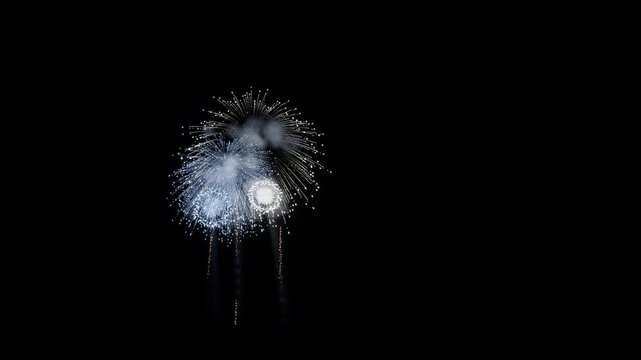 Federated States of Micronesia Flag Color Fireworks Right Copy Space