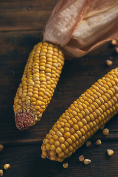 Golden corn cob on rustic wooden background