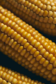 Close-up of golden corn kernels on ripe cob