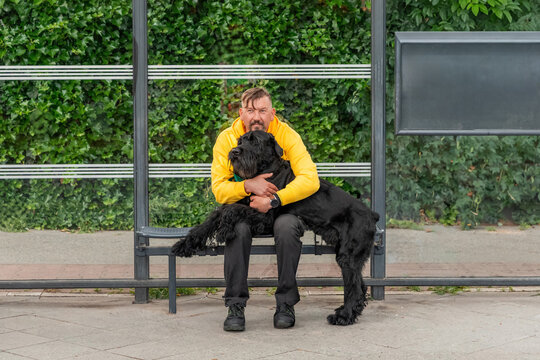 Man in yellow jacket hug black dog at bus stop
