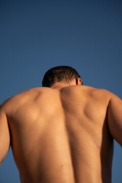 Bare back of muscular man against blue background