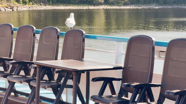A seagull sits on a cruise ship railing at Valaam, Lake Ladoga. This serene moment evokes a calm, peaceful, and joyful feeling.