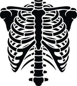 Black silhouette illustration of a human rib cage isolated on a white background