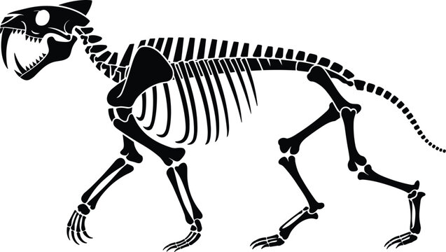 Black silhouette of a sabertoothed tiger skeleton isolated on a white background