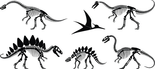 Set of black dinosaur skeleton silhouettes isolated on a white background © Nodi