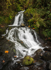 Shepperds Dell Falls cascades down a forested rocky ravine along the Historic Columbia River Highway in Multnomah County, Oregon. © steheap