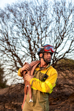 Firefighter carrying hose in wildfire burned woodland