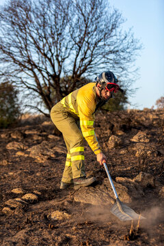 Wildland firefighter extinguish smoldering ground fire