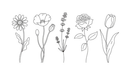 Fototapeta premium Set of hand drawn floral sketches featuring different garden flowers isolated on white background
