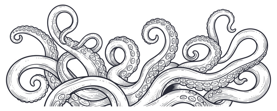 Octopus tentacles monochrome illustration for nautical tattoo designs.