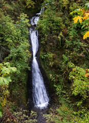Shepperds Dell Falls cascades down a forested rocky ravine along the Historic Columbia River Highway in Multnomah County, Oregon. © steheap