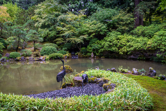 Bronze crane sculptures stand beside a tranquil koi pond surrounded by lush forest foliage at Portland Japanese Garden in Portland, Oregon.