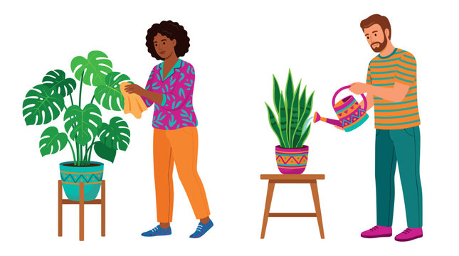 Two people caring for houseplants, a woman wiping leaves and a man watering a snake plant, demonstrating indoor gardening activities.