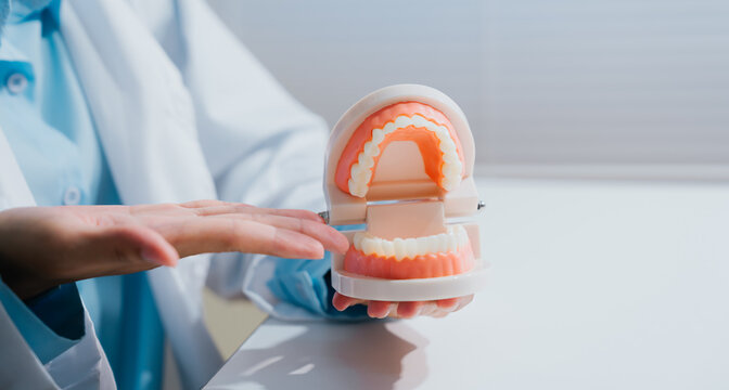 Dentist holding teeth model demonstrating oral hygiene care with professional confident expression, explaining dental health procedure