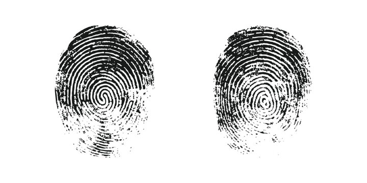 Detailed black fingerprint identification shapes isolated on white background criminal evidence vector illustration graphic design.