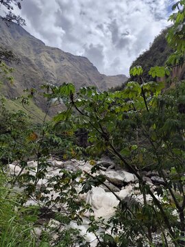 Vegetaci&oacute;n tropical junto a un r&iacute;o de monta&ntilde;a en los Andes de Per&uacute;
