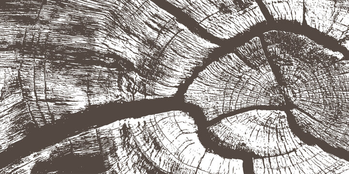 Brown cracked wood bark texture organic grunge distressed abstract surface vector illustration.